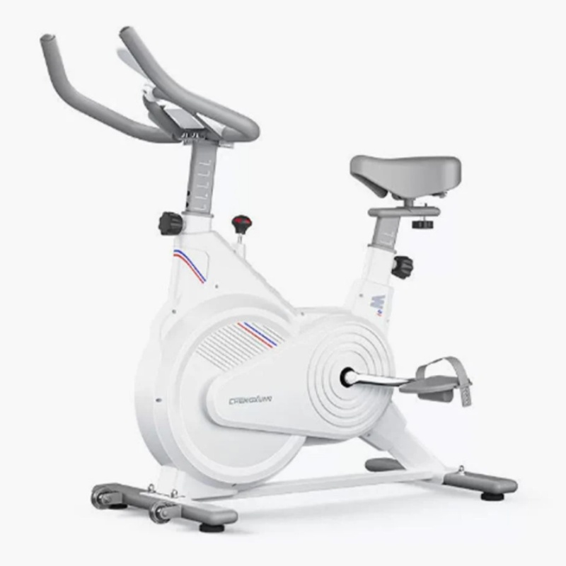 Home Gym Routine - Indoor hometrainer, stille magnetische weerstandstrainer met