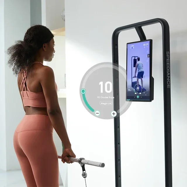 Geïntegreerde alles-in-één dig - All In One Gym Home Equipment recensie en prijs